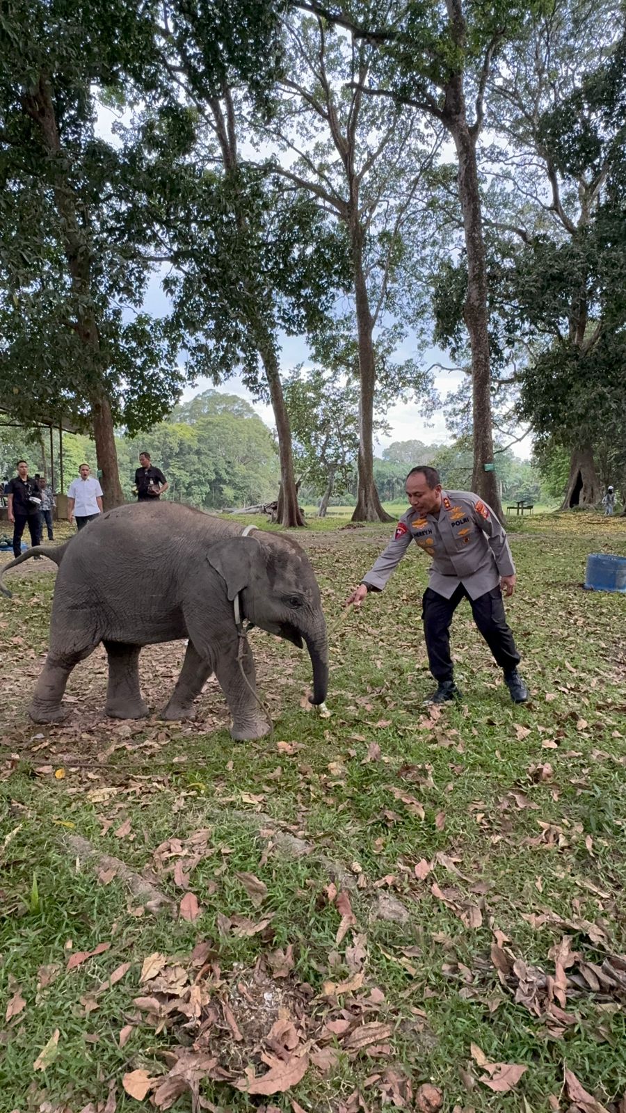 Sembari Patroli, Kapolda Riau Kunjungi Keluarga Gajah di TWA Buluh Cina