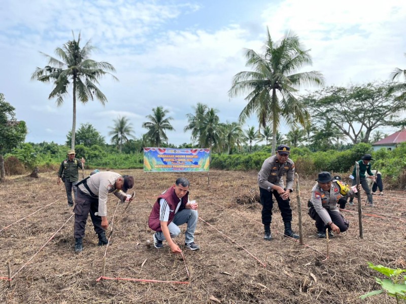 Polsek Tembilahan Hulu Harap Pulau Palas Jadi Lumbung Pangan Usai Tanam Jagung Serentak