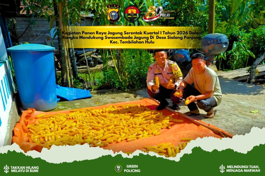 Panen Raya Jagung Serentak Kuartal I 2026 di Sialang Panjang, Polsek Tembilahan Hulu Dukung Swasembada Pangan