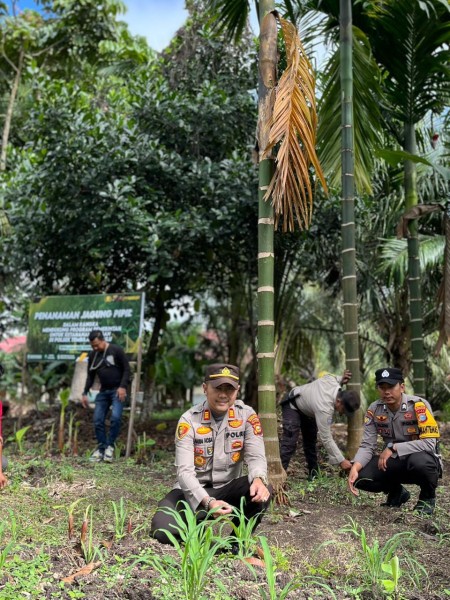 Polsek Tembilahan Hulu Pantau Lahan Jagung di Pekan Kamis