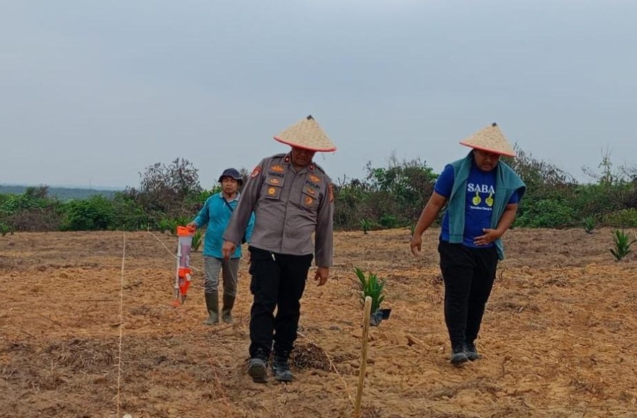 Target Ketahanan Pangan Nasional, Polres Inhu Kembali Tanam Jagung Pipil Bersama Kelompok Tani