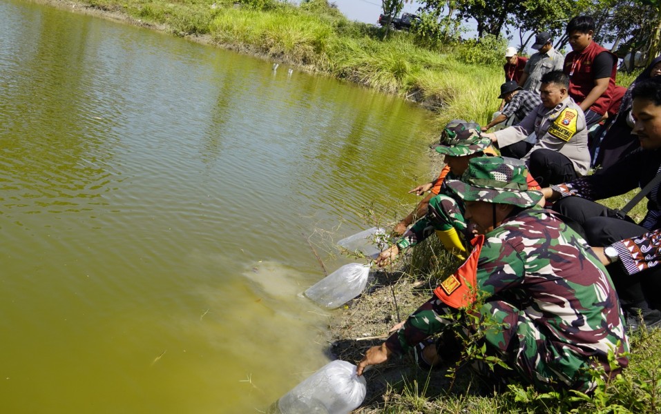 Kolaborasi Perkuat Ketahanan Pangan, TMMD 129 Bojonegoro Tabur 11 Ribu Benih Ikan
