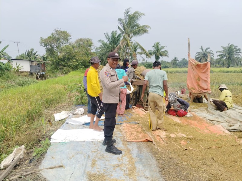 Bhabinkamtibmas Polsek Kuala Cenaku Kawal Panen Padi, Imbau Petani Jaga Lahan Produktif