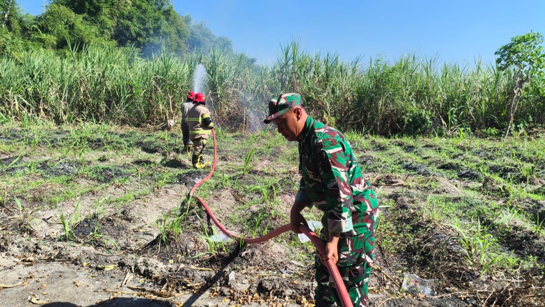 Aksi Sigap, Serka Samsul Bantu Padamkan Kebakaran Lahan Tebu di Desa Sumbermulyo
