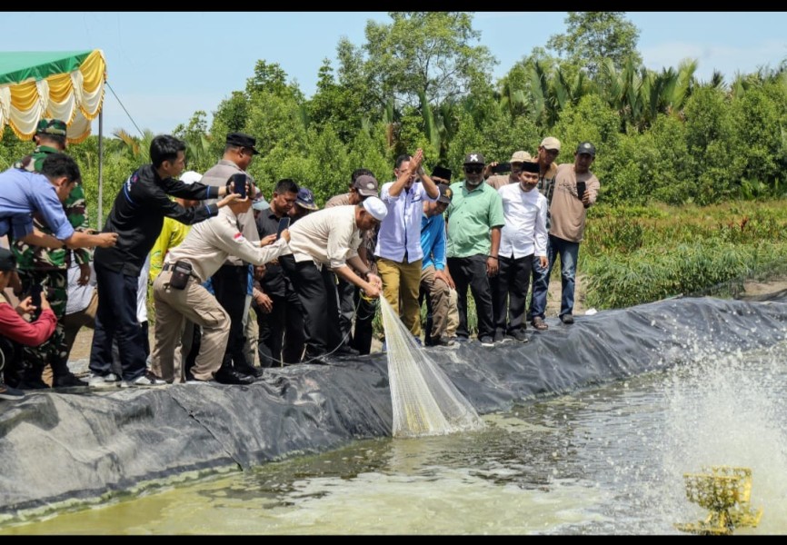 Bupati Inhil Tinjau Tambak Udang Vaname di Tanjung Apek, Dorong Pengembangan Ekonomi Masyarakat Pesisir
