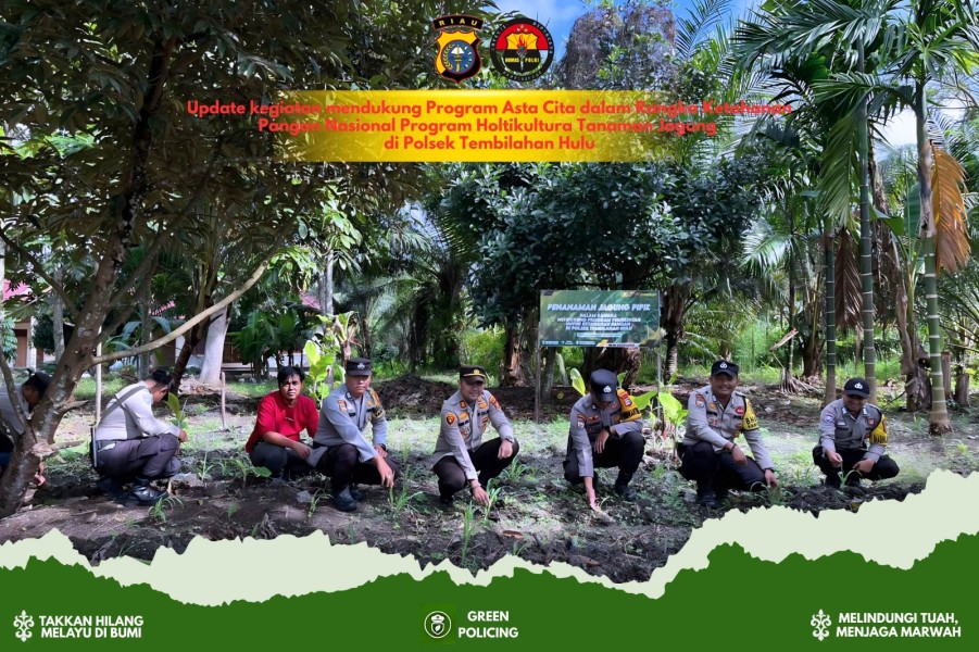 Polsek Tembilahan Hulu Rutin Monitoring Pertumbuhan Jagung