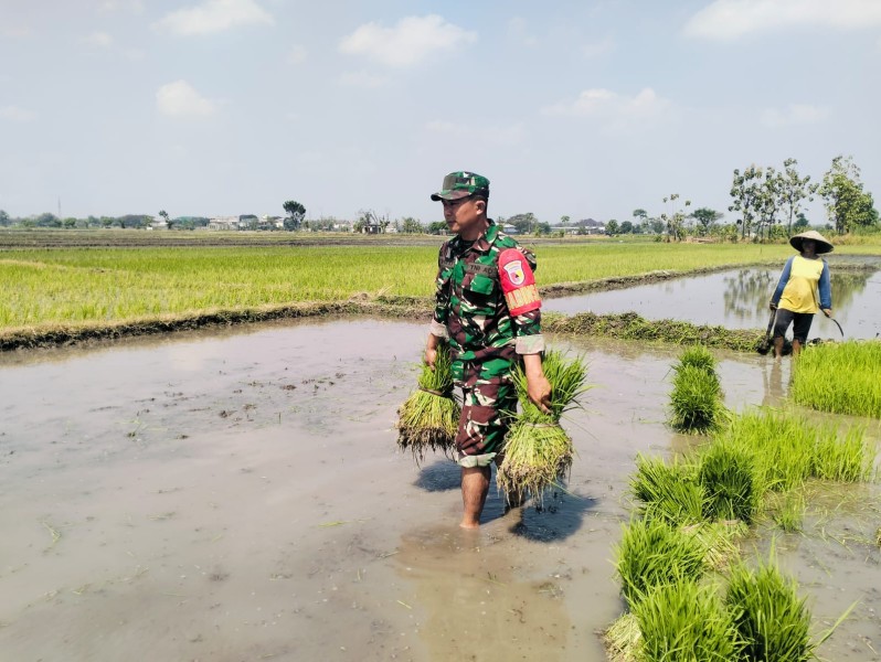 Babinsa Koramil Jombang Kota Komitmen Genjot Ketahanan Pangan