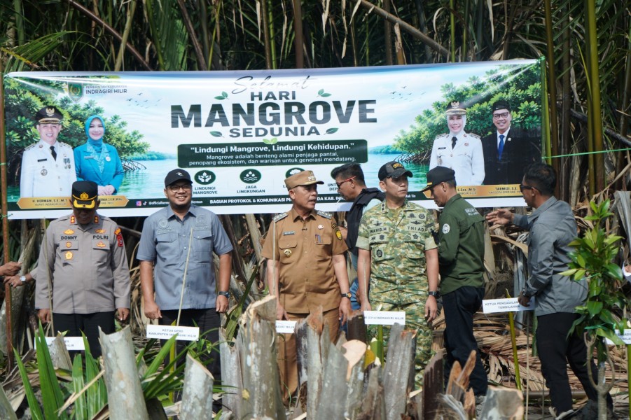 Bupati Herman dan Forkopimda Tanam Mangrove di Sapat, Perkuat Benteng Pesisir Sekaligus Dorong Ekonomi Masyarakat
