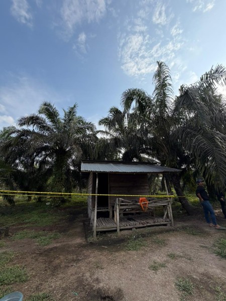 Seorang Pria Ditemukan Tewas di Kebun Sawit Desa Pancur Kecamatan Keritang