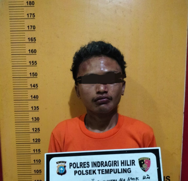 Gerak Cepat, Pelaku Penikaman Balita di Tempuling Berhasil Diamankan Polisi