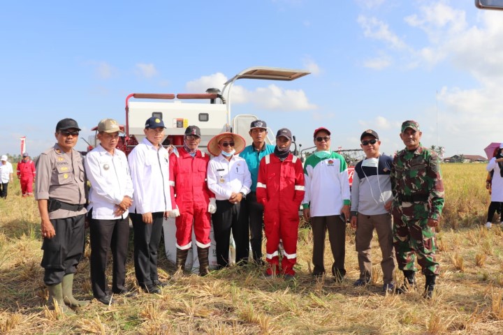 Target Swasembada Pangan, Pelalawan Perkuat Kawasan Pertanian Kuala Kampar