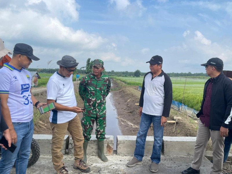 Tinjau Sawah Teluk Sungkai, Wabup Inhu Tegaskan Larangan Alih Fungsi Lahan Pertanian