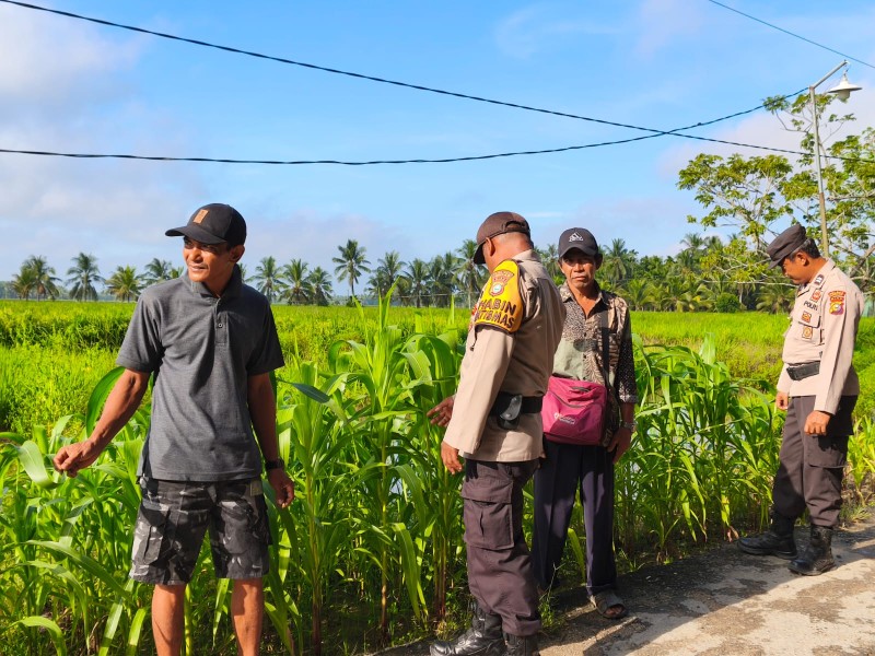 Polsek Sungai Batang Aktif Dampingi Warga, Dukung Swasembada Ketahanan Pangan di Kecamatan Sungai Batang