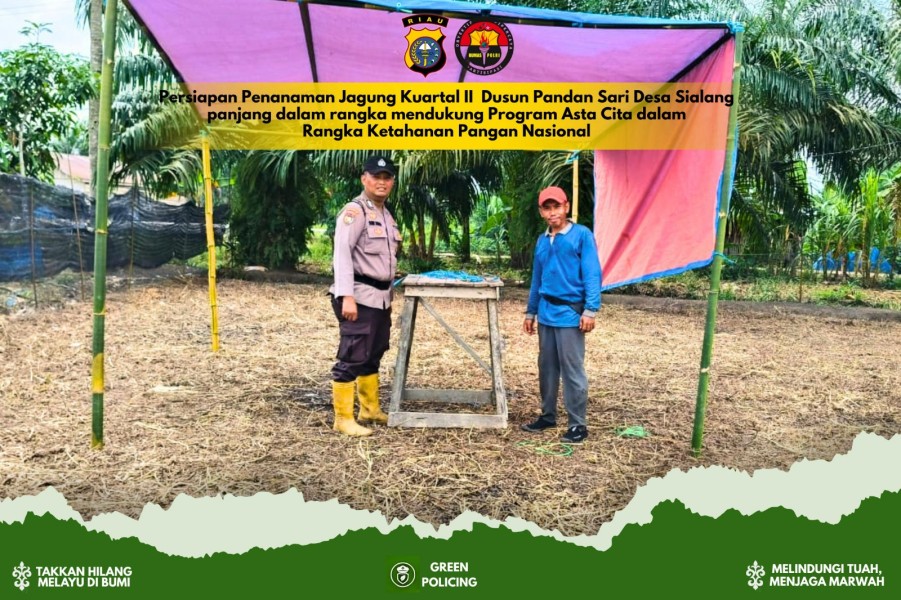 Pengecekan Lahan Jagung Kuartal II di Sialang Panjang Tembilahan Hulu Digenjot