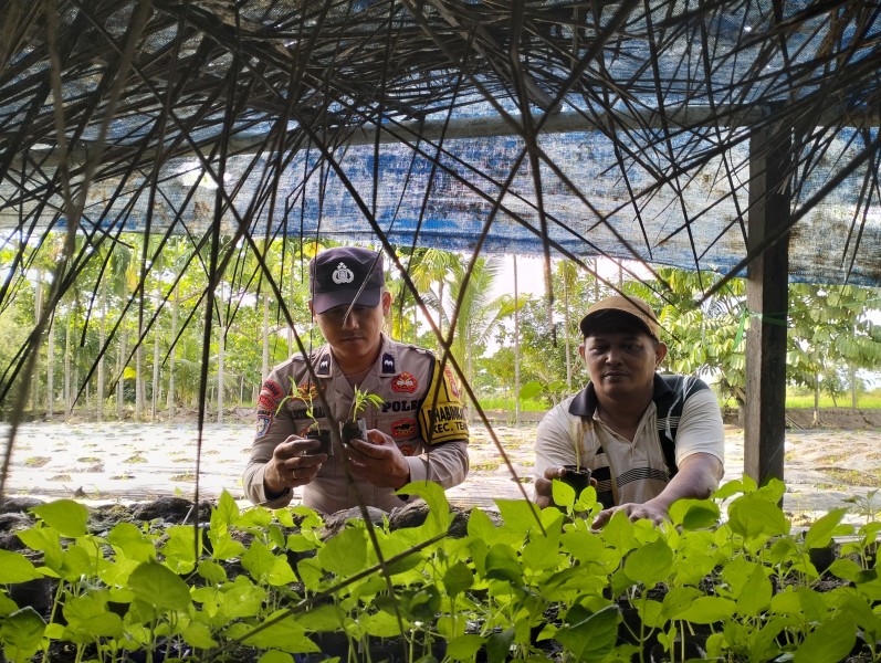 Polsek Tempuling Cek Ketahanan Pangan, Dukung Program Swasembada Pangan Polda Riau