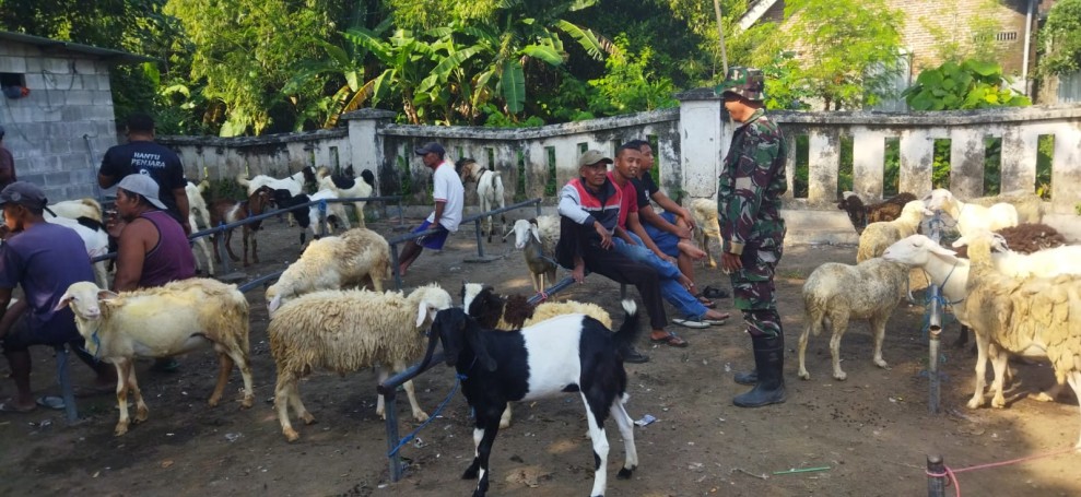 Babinsa Koramil Jogoroto Laksanakan Komsos di Pasar Kambing Desa Ngumpul