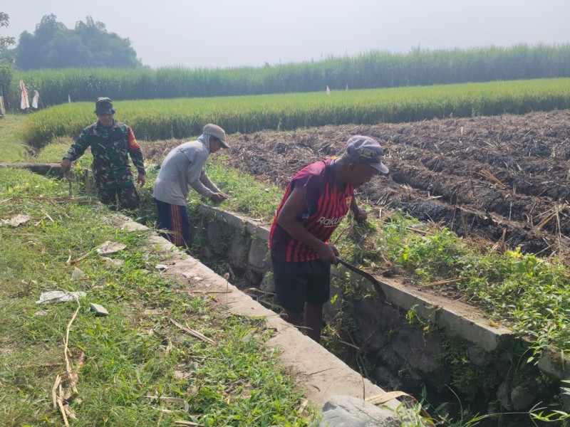 Serka Maslur Bersama Petani Gotong-Royong Bersihkan Saluran Irigasi