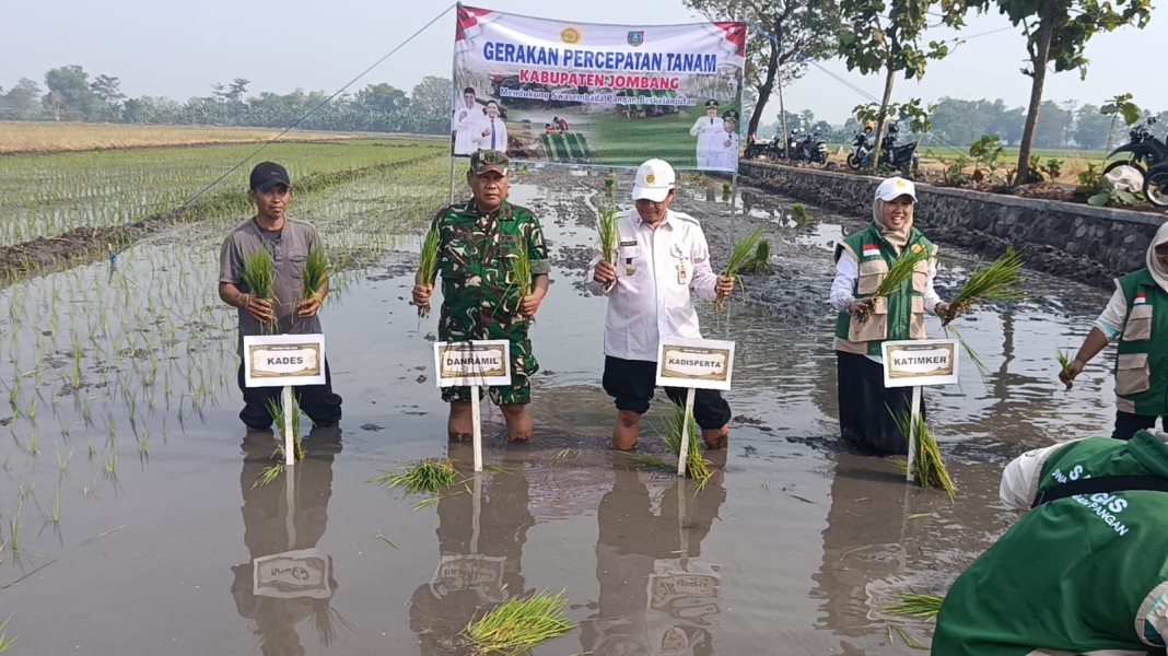 Koramil Jombang Dukung Gerakan Percepatan Tanam di Desa Banjardowo