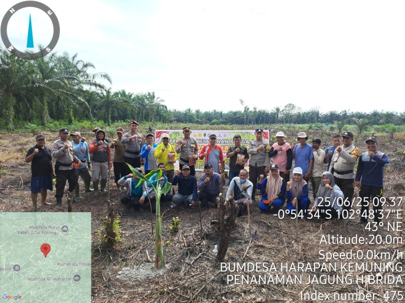 Penguatan Ketahanan Pangan Desa Kemuning Muda melalui Penanaman Jagung