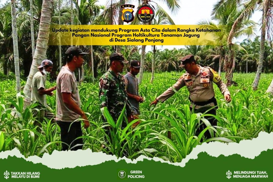 Bhabinkamtibmas Polsek Tembilahan Hulu Dampingi Petani Pemupukan Jagung Dukung Ketahanan Pangan
