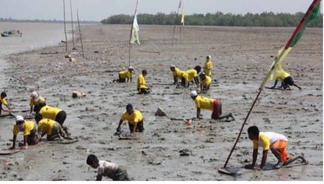 GALERI: Potensi Wisata dan Ekonomi dari Tradisi Menongkah di Inhil