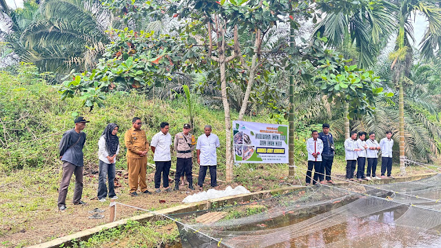 Program Ketahanan Pangan Bumdes Bukit Berbunga Desa Batu Ampar