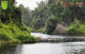 GALERI: Potret Keindahan Danau Mablu di Pulau Basu yang Tersembunyi