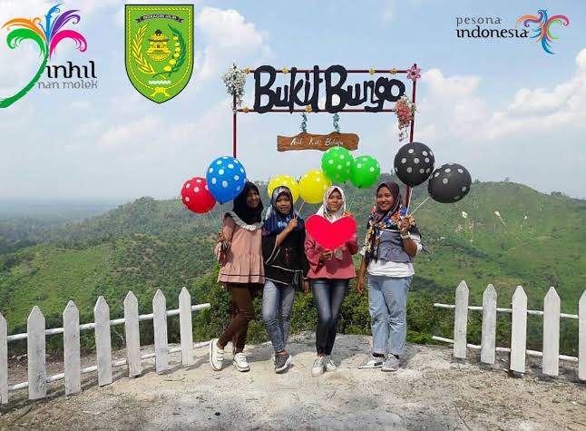 GALERI: Wisata Bukit Berbunga, Keindahan Bukit yang Menyejukan Mata