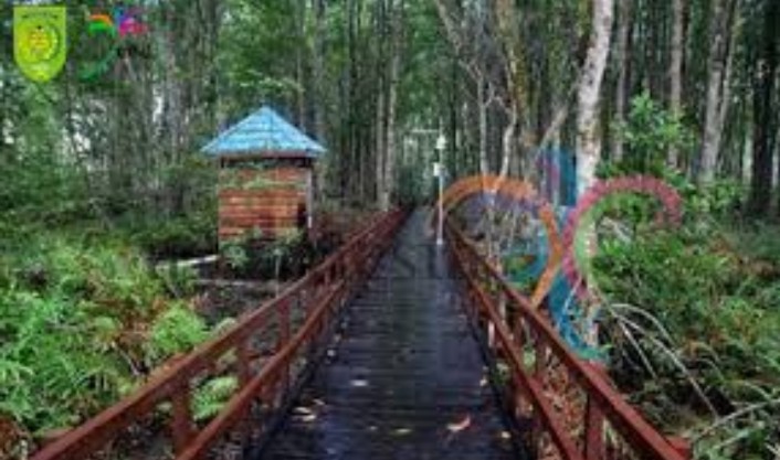 GALERI: Hutan Mangrove Potensi Wisata Inhil