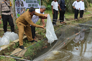 Program Ketahanan Pangan Bumdes Bukit Berbunga Desa Batu Ampar