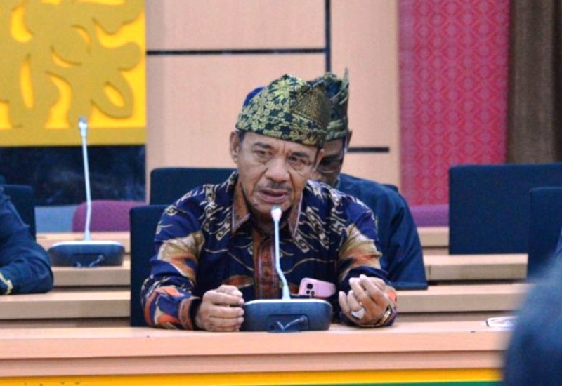 Wakil Ketua DPRD dan Komisi II RDP dengan Masyarakat Adat Pagaran Tapah
