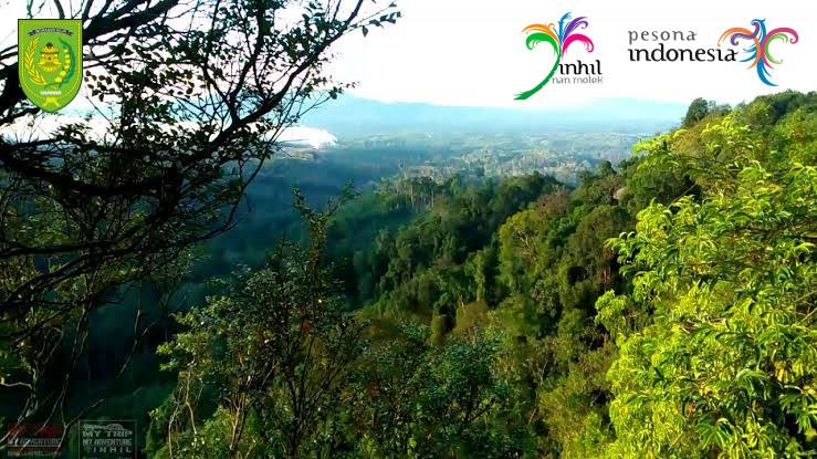 GALERI: Wisata Bukit Berbunga, Keindahan Bukit yang Menyejukan Mata