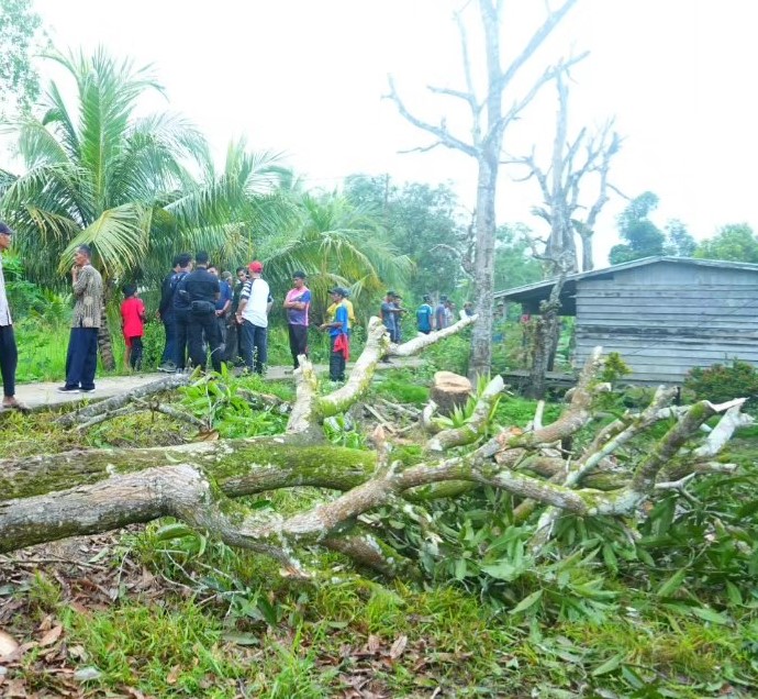Pastikan Jaringan Listrik Terpasang, Pj.Bupati Herman Gotong Royong bersama Masyarakat Kuala Muda Seberang Tembilahan Barat