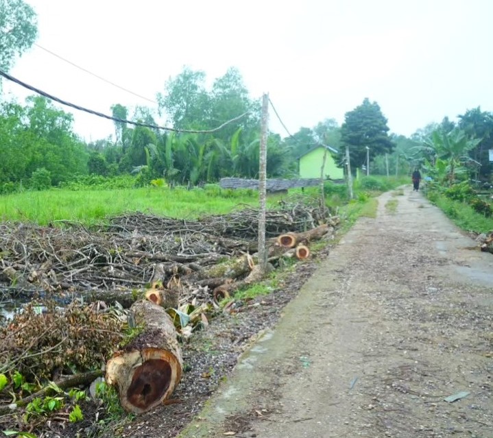 Pastikan Jaringan Listrik Terpasang, Pj.Bupati Herman Gotong Royong bersama Masyarakat Kuala Muda Seberang Tembilahan Barat