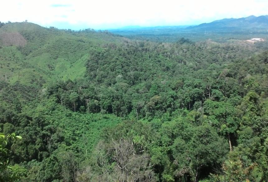 GALERI: Wisata Bukit Berbunga, Keindahan Bukit yang Menyejukan Mata