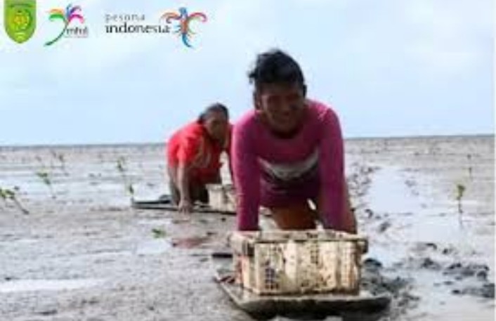 GALERI: Potensi Wisata dan Ekonomi dari Tradisi Menongkah di Inhil