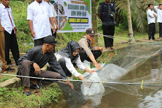 Program Ketahanan Pangan Bumdes Bukit Berbunga Desa Batu Ampar