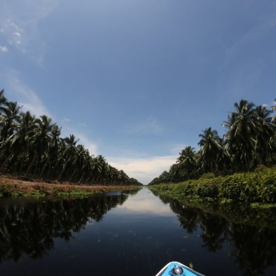 GALERI: Sensasi Kehidupan Petani di Negeri Hamparan Kelapa Dunia