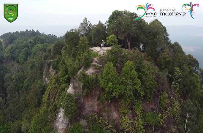 GALERI: Wisata Bukit Berbunga, Keindahan Bukit yang Menyejukan Mata