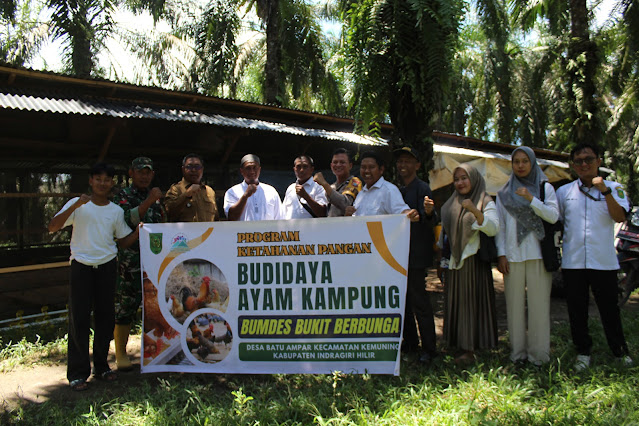 Program Ketahanan Pangan Bumdes Bukit Berbunga Desa Batu Ampar