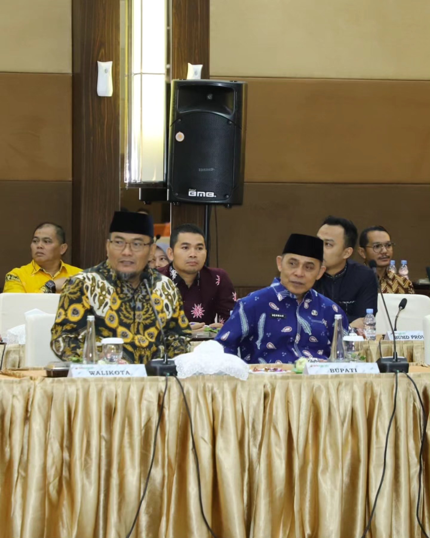 Bupati Inhil Menghadiri Pertemuan Komisi II DPR RI Dengan Pemprov dan  Pemda Se Prov. Riau